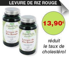 Levure de riz rouge espritphyto