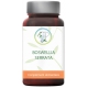 Planticinal Boswellia serrata résine acide boswellique antioxydant 90 gélules