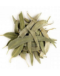 Herboristerie de Paris Eucalyptus feuilles longues entières bio tisane 100gr tisane hivernale Pharma5avenue