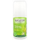 Déodorant roll on 24h Citrus 50ml Weleda - produit d'hygiène biologique