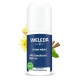 Weleda Déodorant roll on 24h Homme 50 ml, déodorant bio, pharma5avenue