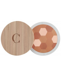 Couleur Caramel Poudre mosaique No 233 teint mat