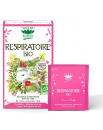 Romon Nature Tisane Respiratoire bio 20 sachets 32g voies respiratoires Pharma5avenue