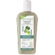 Dermaclay Shampoing Cheveux gras Pin Bardane Argile verte 250ml capilargil argile rhassoul Pharma5avenue