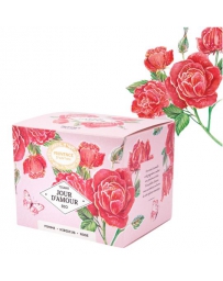 Provence d'Antan Tisane Be Cube Jour D'amour bio 20 sachets 40g recharge carton infusion d'amour Pharma5avenue