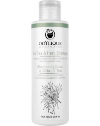 Odylique Shampoing Doux à l'Arbre à Thé 200ml aloe vera tea tree romarin coco Pharma5avenue