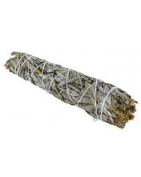 Herboristerie de Paris torche de Sauge blanche de Californie à brûler 23 cm XL 70gr