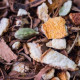 Herboristerie de Paris Tisane Préparation pour Vin Chaud 100gr raisin chaud revigorant Pharma5avenue