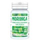 LT Labo Moringa folioles BIO Energie 60 gelules maintien de la glycémie normale Pharma5avenue