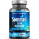 Gph Diffusion Sommeil bio 200 comprimés aubépine passiflore escholtzia Pharma5avenue