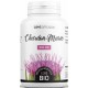 GPH Diffusion Chardon Marie Bio 200 gélules de 300mg confort du foie silymarine Pharma5avenue