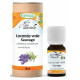 Phytofrance Huile essentielle de Lavande Vraie sauvage 10ml lavande fine véritable Pharma5avenue