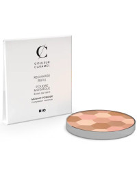 Couleur Caramel Recharge Poudre mosaique n°232 teint clair