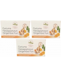Herboristerie de Paris Curcuma harpagophytum gingembre fort modèle cure de 3 x 60 comprimés