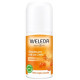 Weleda Déodorant roll on 24h Argousier 50ml mandarine orange Pharma5avenue