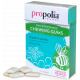 Propolia Chewing-Gum Propolis Menthe Reglisse 25 gommes haleine fraiche Pharma5avenue
